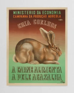 Cartaz "Cria Coelhos"