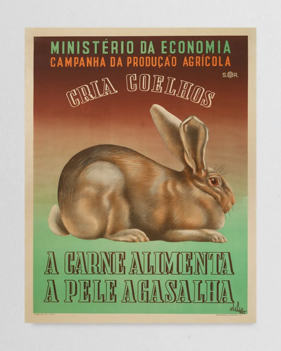 Cartaz "Cria Coelhos"