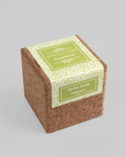 Grow cube | Life in a Bag