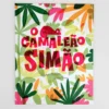 O Camaleão Simão | Caminho das Palavras