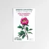Rosa Albardeira | Sementes Vivas