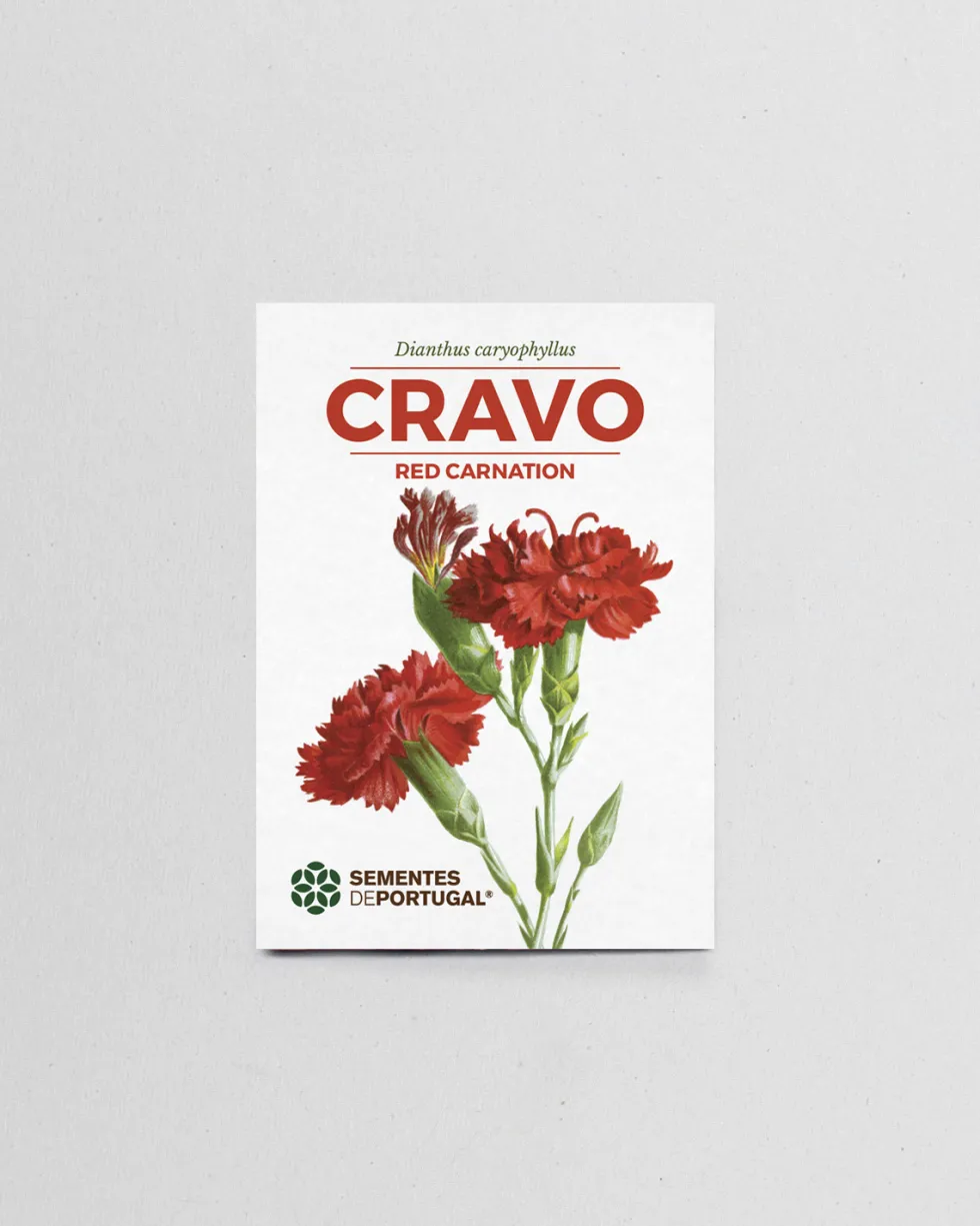 Sementes de Cravo | Sementes de Portugal